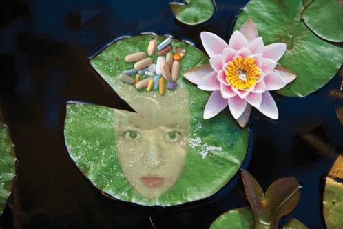 a lily pad with a woman 's face on it and pills on it