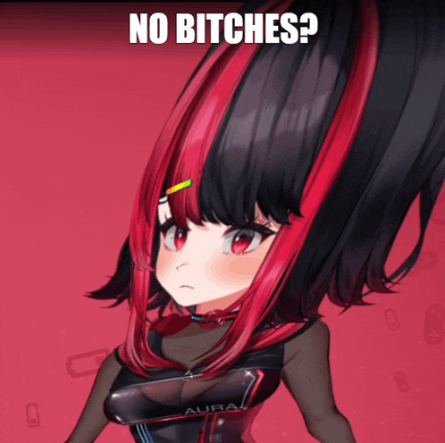 a picture of a girl with red and black hair and the words " no bitches "