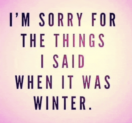 i 'm sorry for the things i said when it was winter