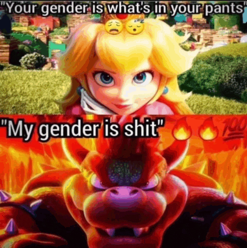 a picture of princess peach next to a picture of bowser that says " your gender is what 's in your pants "