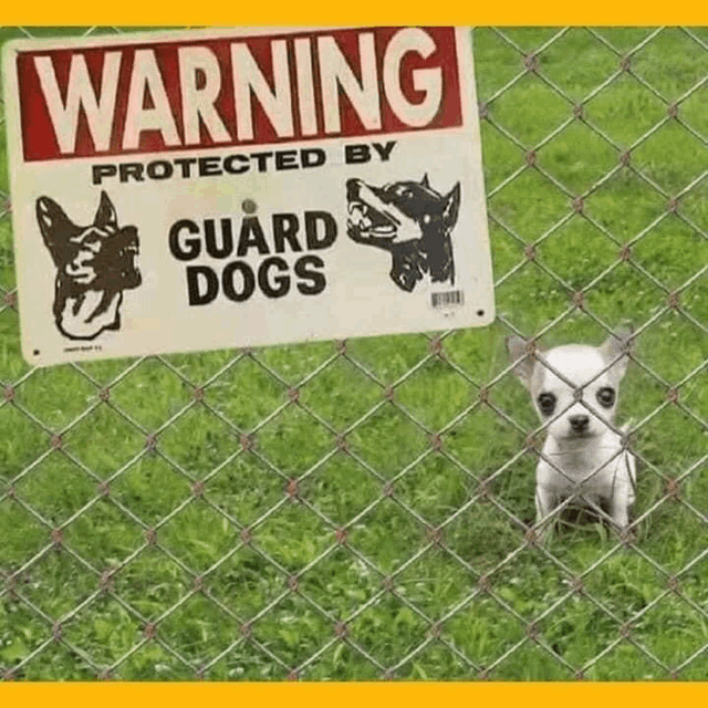 a small dog is behind a chain link fence with a warning sign .