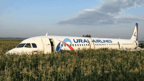 a plane from ural airlines sits in the middle of a field