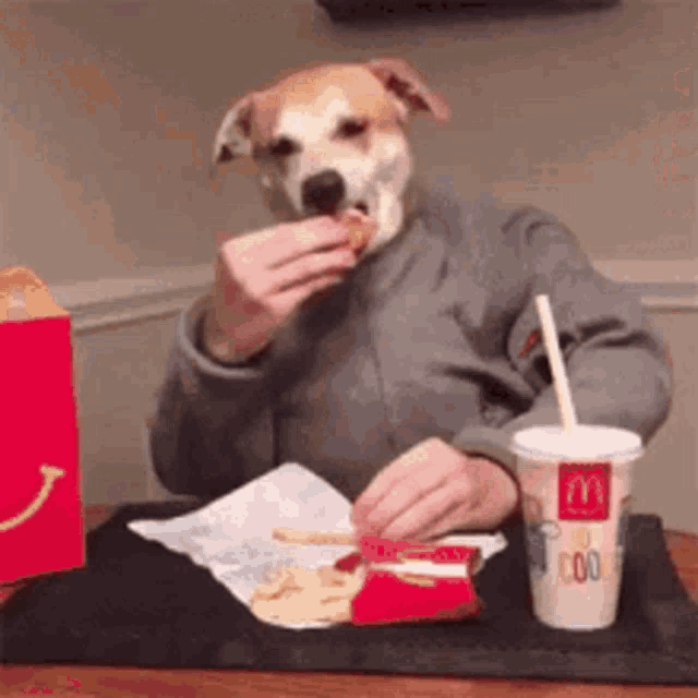 a person is sitting at a table with a dog on their head eating french fries and a drink .