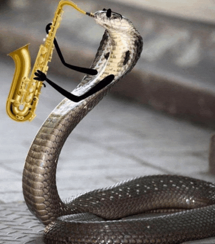 a snake with arms playing a saxophone on the street