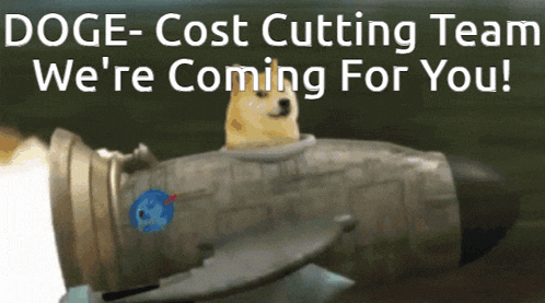 doge cost cutting team we 're coming for you !