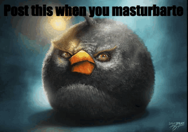 a picture of an angry bird with the words post this when you masturbarte