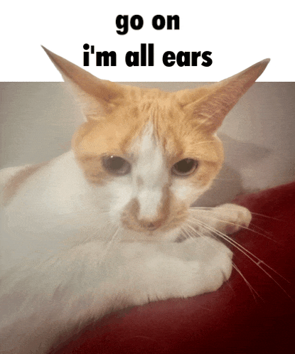 a cat laying on a red blanket with the words go on i 'm all ears above it