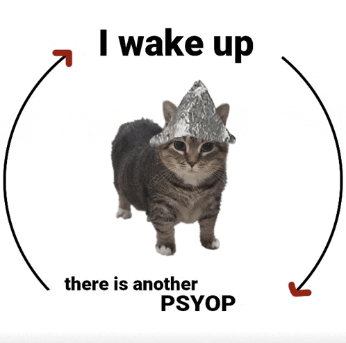 a cat wearing a tin foil hat with the words " i wake up there is another psyop "