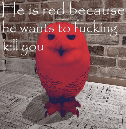 a red owl with the words he is red because he wants to fucking kill you written above it