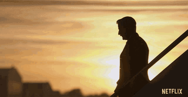 a silhouette of a man standing in front of a sunset with a netflix logo behind him