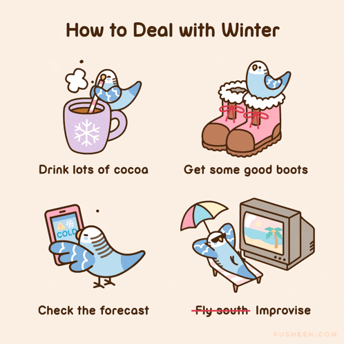 a cartoon of a bird with the words how to deal with winter below it