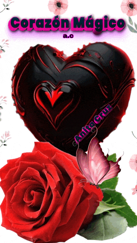 a picture of a red rose and a black heart that says corazon magico a.c.