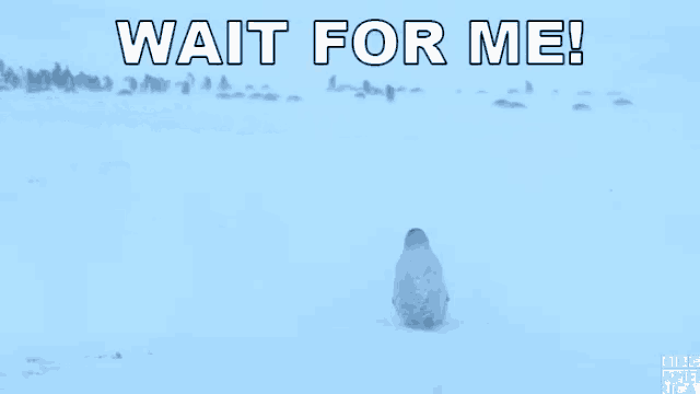 two penguins are standing in the snow with the words wait for me