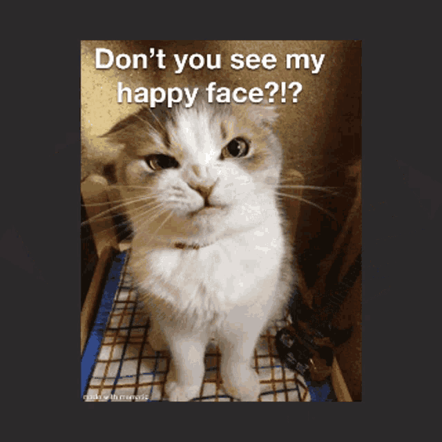 a picture of a cat with the words " do n't you see my happy face " on it