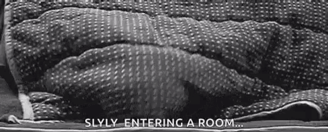 a black and white photo of a person laying under a blanket with the words `` slyly entering a room '' .