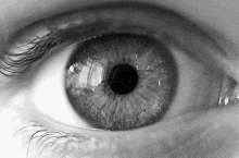 a close up of a person 's eye with a black pupil in a black and white photo .