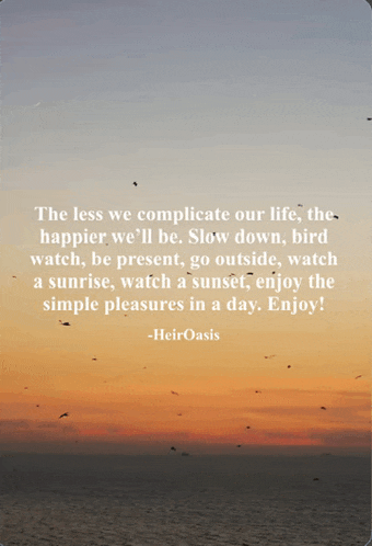 the less we complicate our life the happier we 'll be slow down bird watch