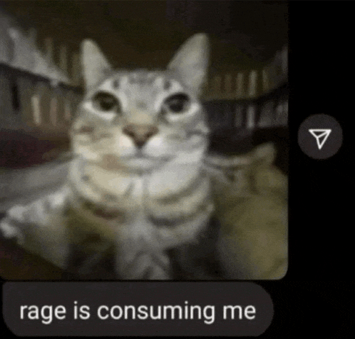 a screenshot of a cat with the words rage is consuming me below it