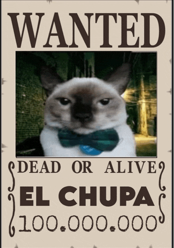 a cat wearing a bow tie is featured on a wanted poster