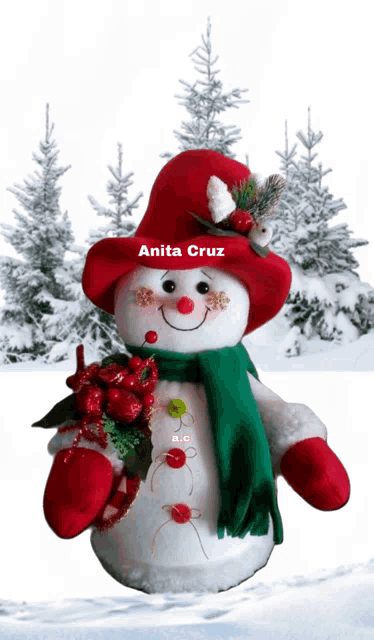 a stuffed snowman with a red hat and green scarf by anita cruz