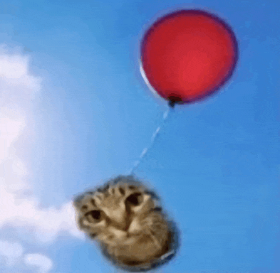 a cat is flying in the air with a red balloon