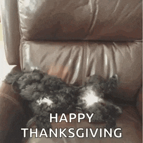 a black and white dog is laying on a brown leather chair with the words `` happy thanksgiving '' written on it .