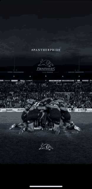 a black and white photo of panthers players huddled on the field