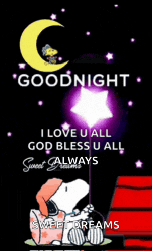 snoopy is holding a star and says goodnight i love u all god bless u all sweet dreams