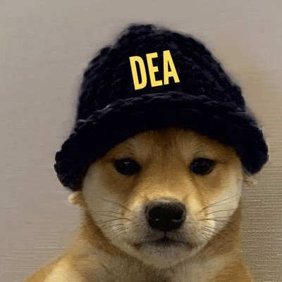 a dog wearing a dea hat is looking at the camera .