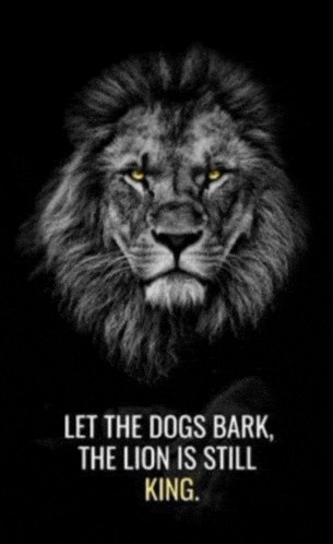 a lion with a quote on it that says let the dogs bark the lion is still king .