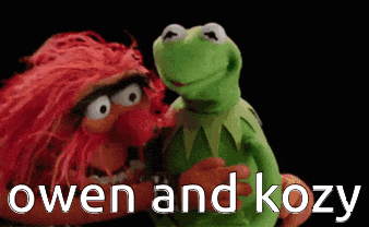 kermit the frog and animal from muppets are hugging each other