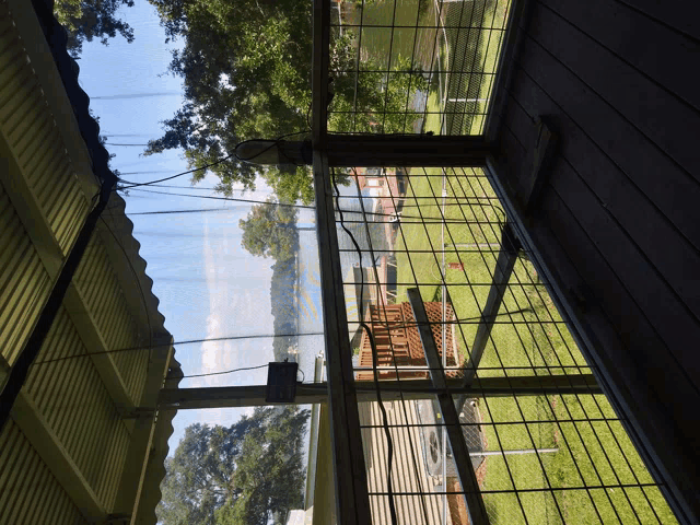 a view of a fenced in area with trees and a house in the background