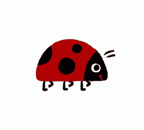 a red ladybug with black spots and a big eye