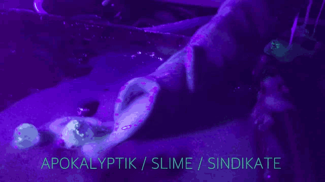 a purple background with the words apokalyptik / slime / sindikate written on it