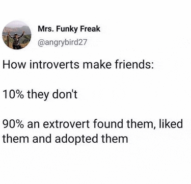 a tweet from mrs. funky freak about how introverts make friends