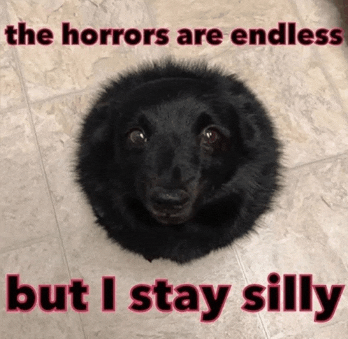 a picture of a black dog with the words " the horrors are endless but i stay silly " below it