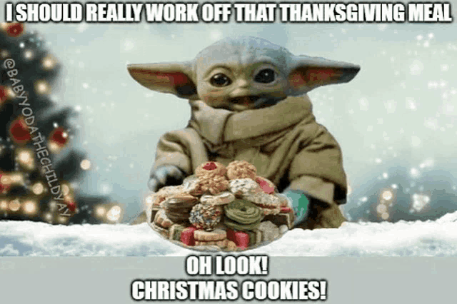 baby yoda is holding a plate of christmas cookies .