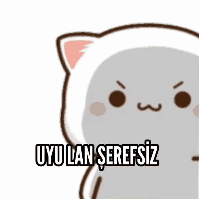 a picture of a cat with the words uyu lan serefsiz