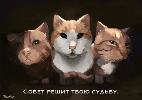 a drawing of three cats with the caption совет решит твою судьбу