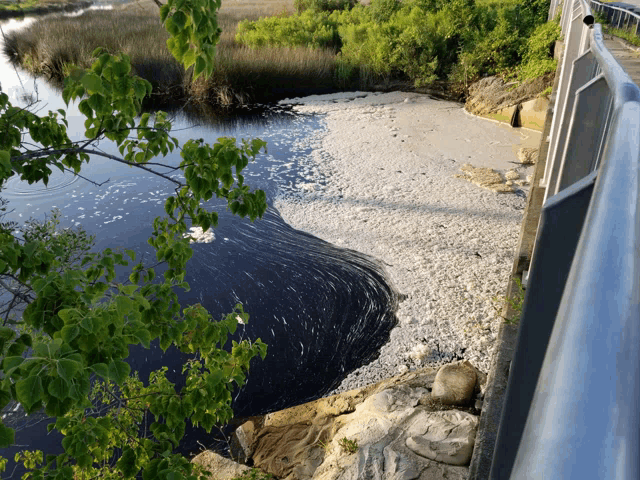 a fence surrounds a body of water with a lot of foam on the shore