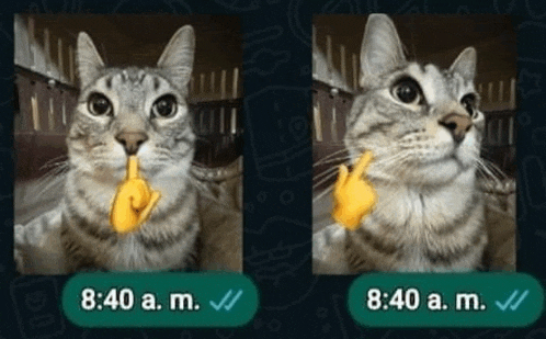 two pictures of a cat with a finger on its mouth and the time 8:40 am