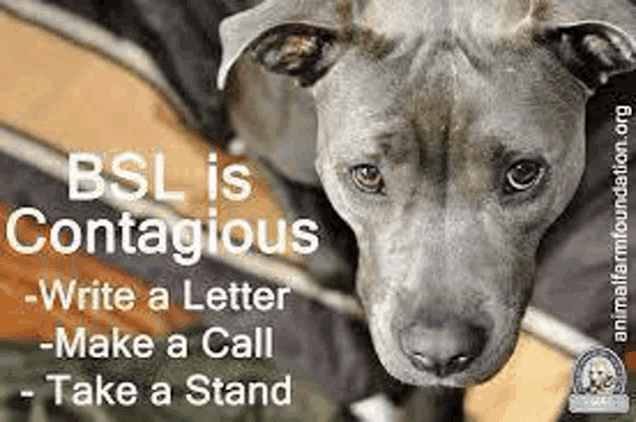 a picture of a dog with the words `` bsl is contagious '' written on it