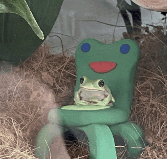 a frog is sitting on a green chair with a red nose