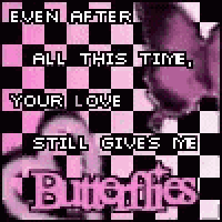 a pink and black checkered background with a butterfly and the words `` even after all this time your love still gives me butterflies ''