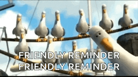 a group of seagulls sitting on a wire with the words `` friendly reminder friendly reminder '' above them .