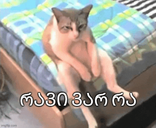 a cat is sitting on a bed with its legs crossed and a foreign language written above it .