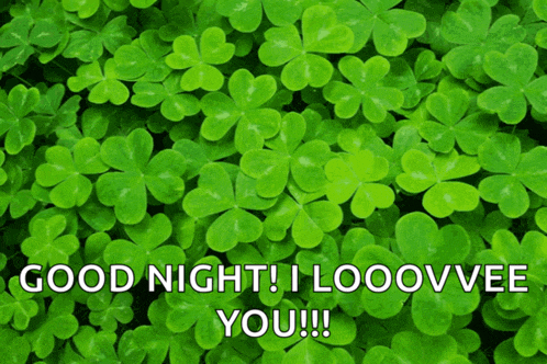 a bunch of green leaves with the words good night i looovee you