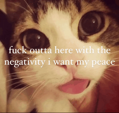 a cat with the words fuck outta here with the negativity i want my peace