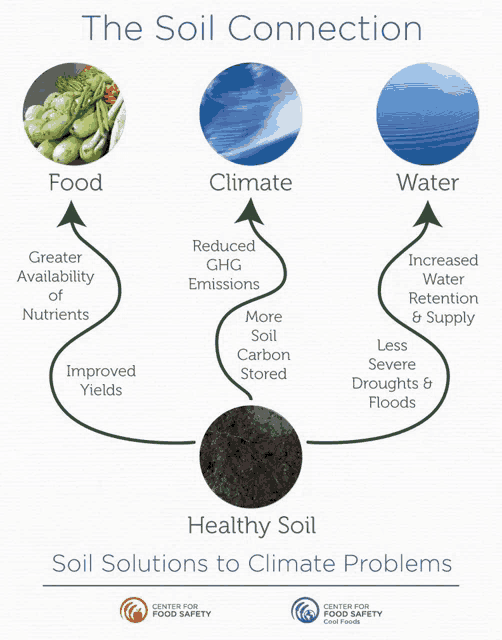 a diagram showing the soil connection with food and water