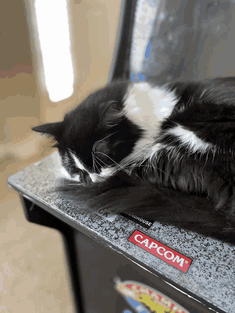 a black and white cat laying on top of a capcom arcade machine